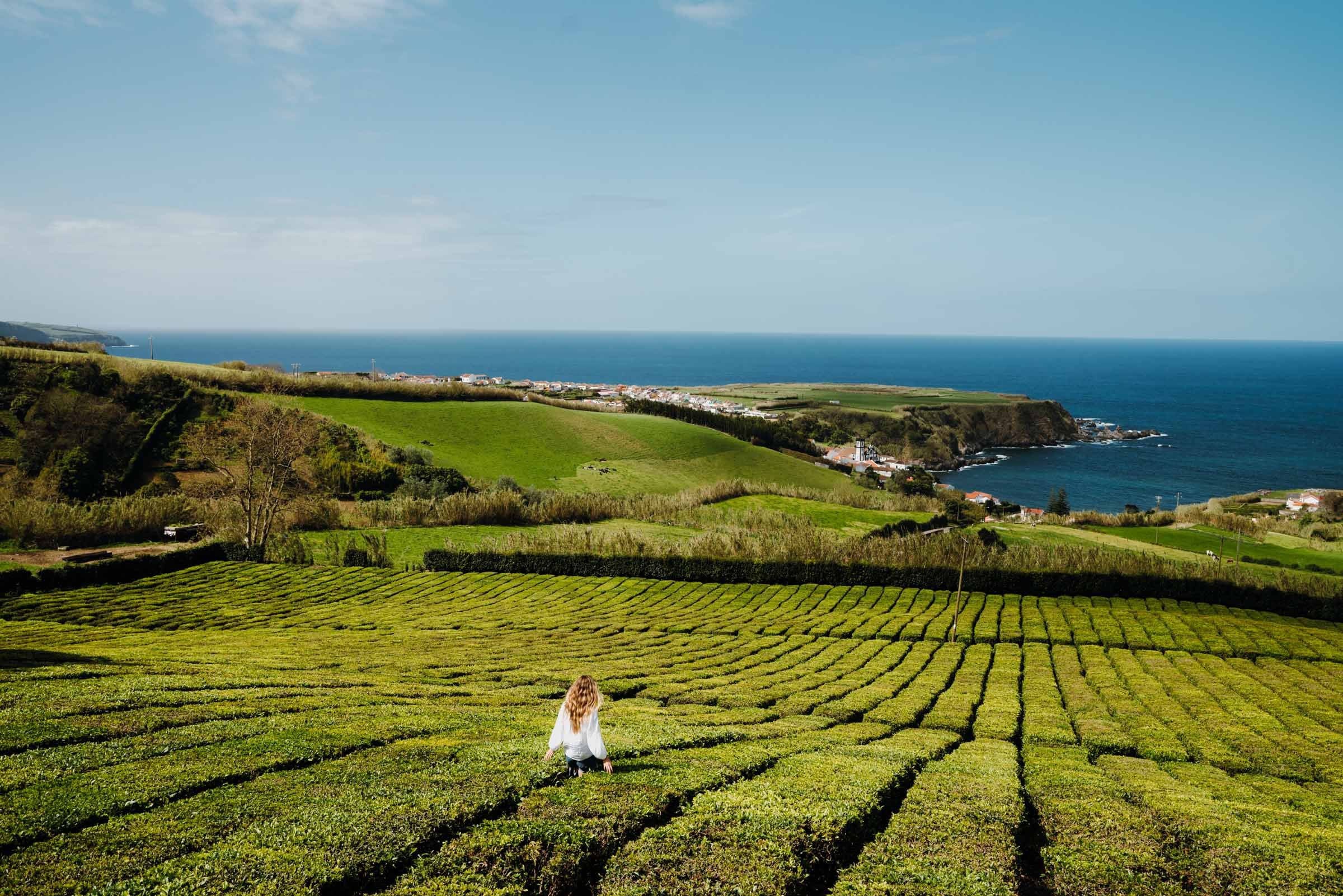Porto+Formoso,+São+Miguel,+Açores